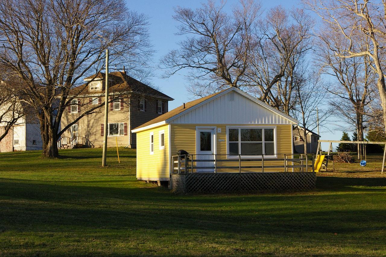 Wingspread Cottages Stanley Bridge Екстериор снимка